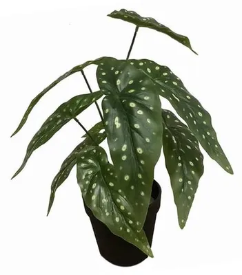 Immagine prodotto di Fiore artificiale con vaso in Vetroceramica nera, 35 cm