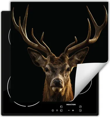 Produktbild von DarHaus Herdabdeckplatte 60x52 cm Anti Rutsch Matte Aufrollbar, schwarz - Hirsh