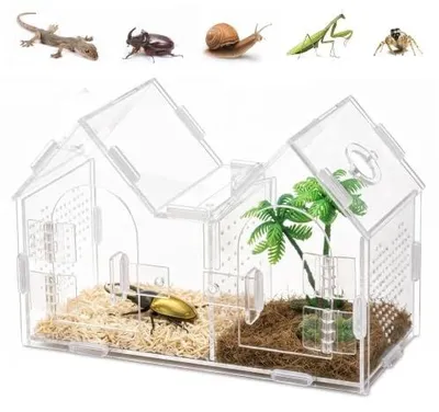 Zdjęcie produktu dla Terrarium akrylowe dla ślimaków gadów pająków mini 20X10X15 cm