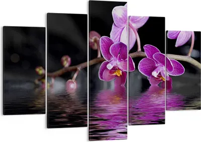 Produktbild von Bild auf Leinwand - Leinwandbild - Asien exotisch orchidee blume - 150x100cm - Wand Bild - Wanddeko - Leinwanddruck - Bilder - Kunstdruck - Leinwand bilder - Wandkunst - EA150x100-2312