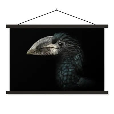 Produktbild von MuchoWow® Textilposter Vogel - Porträt - Hornvogel - Schwarz - Tiere 60x40 cm mit schwarzem Rahmen - Hölzernes