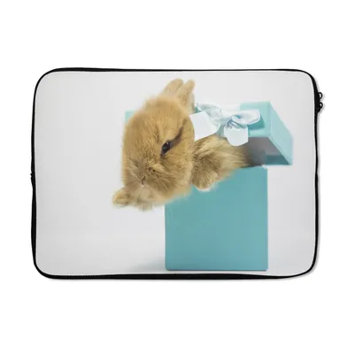 Produktbild von MuchoWow® Laptop Hülle 14 ZollKaninchen - Pastell - Blau Laptoptasche - Laptoptasche - Stoßsicher - Schutzhaube