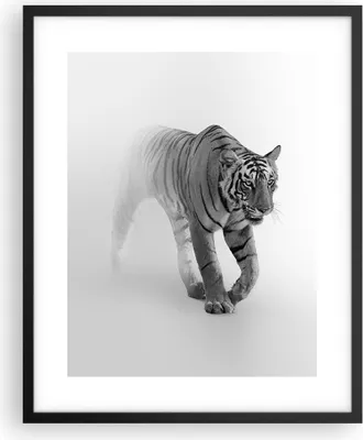 Produktbild von Gerahmtes Poster - Schwarzer Rahmen - Tiger Monochrom Porträt - 40x50 cm - Wand Bild - Wanddeko - Wandbilder - Kunstposter - Wandposter - Bilderrahmen - Bilder - Kunstdruck - P2BPA40x50-4626