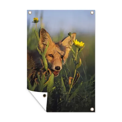 Obrázek produktu pro MuchoWow® Zahradní plakáty - Zvířata - liška - Sun - 120x80 cm - Zahradní dekorace