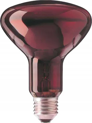 Produktbild von Glühbirne R95 E27 230V 100W HEIZKÖRPER ROT