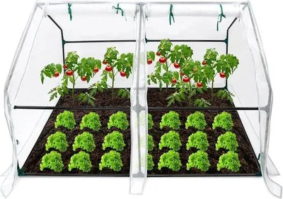 Produktbild von Famanu Mini-Gewächshaus Insektenbeständig - 180 x 90 x 90 cm - Weiß