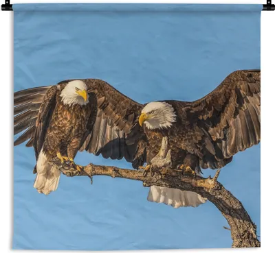 Produktbild von MuchoWow® Wandteppich Wandbehang Vogel - Äste - Adler - Raubvögel - Luft 120x120 cm Tapisserie Dekoration Wandtuch - Modern - Baumwollgewebe