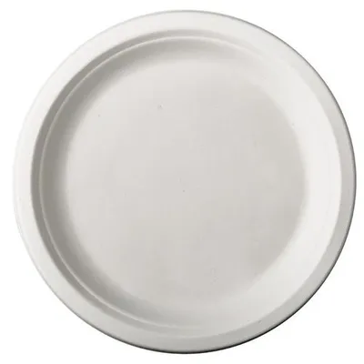 Produktbild von 500 Papstar Teller, Zuckerrohr pure ungeteilt Ø 26 cm, 2 cm weiss 81326