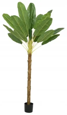 Immagine prodotto di Albero di banano in vaso, artificiale, decorativo, 230 cm