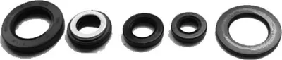 Produktbild von TOURMAX OSL-224 Motor Dichtungsset