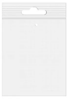 Produktbild von Druckverschlussbeutel mit Euroloch 20.5x25.5cm Transparent PP 50 Mikron mit Euroloch (100 Stück) [ZE810V]