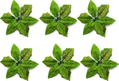Produktbild von Weihnachtssterne, Stoffblumen, 22cm Grün, Für Christbaumschmuck, Festliche Deko, 6-tlg.Set