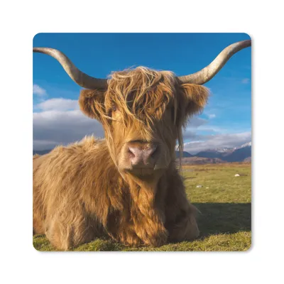 Produktbild von MuchoWow® Mauspad Mousepad Schottische Highlander - Tiere - Gras 30x30 cm - Mousepads - Maus Mat - Pad - Mausunterlage - Gaming