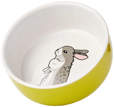 Produktbild von Nobby Nager Keramik Napf Rabbit grün/weiß Ø 11cm x 4,5cm