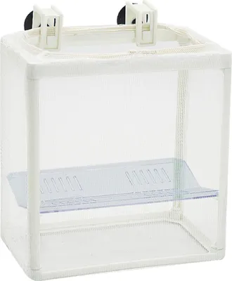 Produktbild von Trennbehälter für Fischzucht und Jungfischschutz, mit Frischwasserzirkulation, 13 x 8 x 15 cm