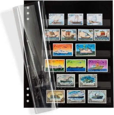 Produktbild von Einsteckblätter OMEGA, schwarzer Karton mit 6-Klarsichtstreifen und Klarsichtdeckblatt