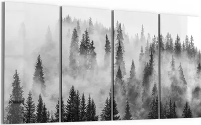Produktbild von DEQORI Glasbild Echtglas 4x30x60 cm 'Flüsternde Tannen' Wandbilder XXL groß