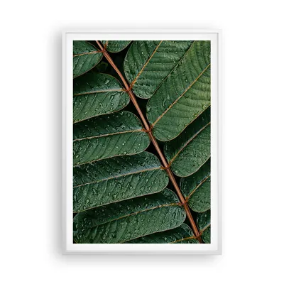 Produktbild von Gerahmtes Poster - Weißer Rahmen - Tropfen Wasser Blätter - 70x100 cm - Wand Bild - Wanddeko - Wandbilder - Kunstposter - Wandposter - Bilderrahmen - Bilder - Kunstdruck - Wandbild - P2WPA70x100-4328
