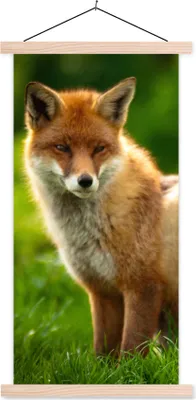 Produktbild von MuchoWow® Textilposter Fuchs - Licht - Gras 60x120 cm mit holzfarbenen Rahmen - Holz