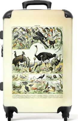 Produktbild von NoBoringSuitcases.com® Großer Koffer - Vögel - Tiere - Illustration - Vintage - Kunst - Kombinationsschloss TSA - Hartschalen Trolley 4 Rollen - 72 liter - Reisekoffer - 66 cmKoffer Mittelgroß 67x43x25 cm, 72L,