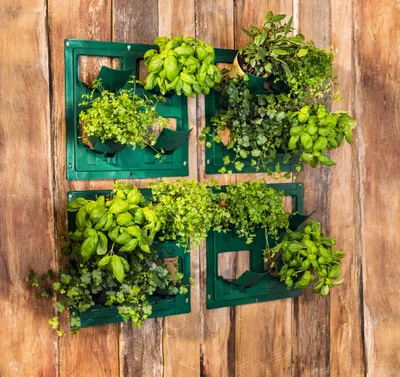 Produktbild von 4x Pflanzentopfhalter Blumentopf Halter Wandhalterung Wand Wandmontage Halterung