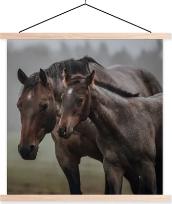 Produktbild von MuchoWow® Textilposter Pferde - Nebel - Landschaft 40x40 cm mit holzfarbenen Rahmen - Posterleiste