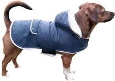 Image de KERBL Manteau pour chien Teddy, 34cm