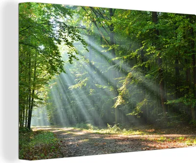 Obrázek produktu pro OneMillionCanvasses® Malba na plátně Nástěnná malba na plátně - Jaro - Les - Strom - 150x100cm
