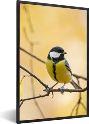 Produktbild von MuchoWow® Gerahmtes Poster Kohlmeise - Zweig - Vogel - Tiere 60x90 cm - Poster mit Schwarzem Bilderrahmen Wandposter Rahmen Foto Bilder - Kunst