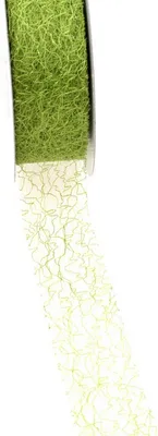 Produktbild von Spiderweb Dekoband - 3cm grün - Rolle 25m - 67 030-R 30
