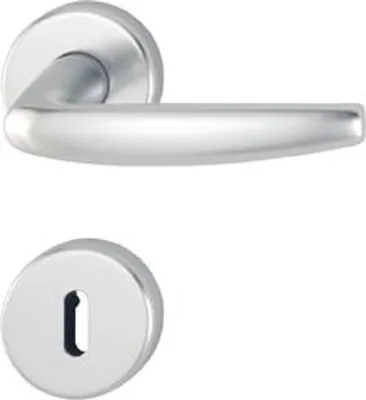 A silver door handle and escutcheon plate are shown against a white background.