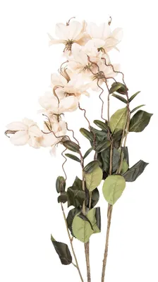 Immagine prodotto di Clayre & Eef Fiore artificiale 120 cm Bianco Plastica