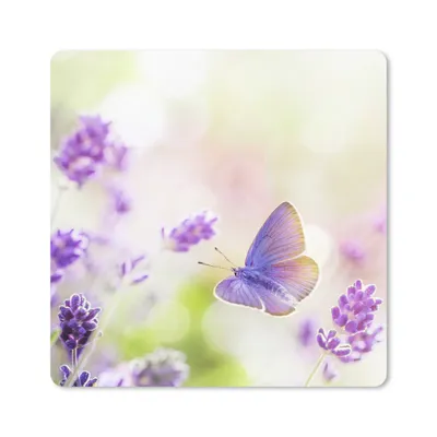 Produktbild von MuchoWow® Mauspad Mousepad Lavendel - Schmetterling - Blumen 30x30 cm - Mousepads - Maus Mat - Pad - Mausunterlage - Gaming