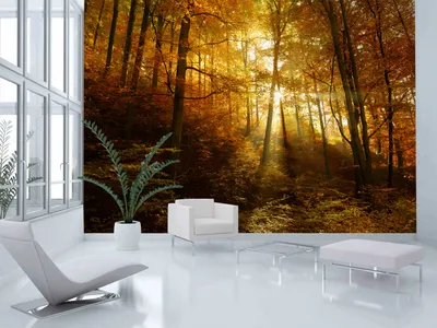 Produktbild von Vlies Fototapete 400x280 cm Tapeten Wandtapete XXL Wald Natur Landschaft Bäume c-B-0139-a-a