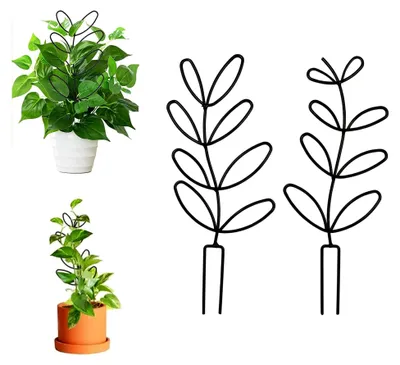 Produktbild von Rankhilfe für Zimmerpflanzen und Garten, Pflanzenstütze, Blumenstütze, 2 Stück Topfpflanzen Rankgitter, Pflanzenkäfige, Kletterhilfe für Pflanzen