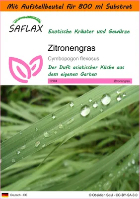 Produktbild von SAFLAX Garden in the bag - Zitronengras - Cymbopogon flexosus - 50 Samen - Mit Anzuchtsubstrat im praktischen, selbst aufstellenden Beutel