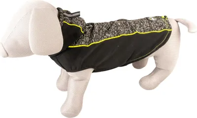 Produktbild von Duvo+ Hundepullover Sporty schwarz, Größe: M