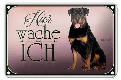 Produktbild von Blechschild Hund 18x12cm Rottweiler hier wache ich