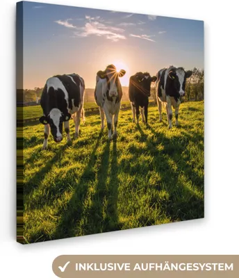 Produktbild von MuchoWow® - Leinwandbilder - Kühe - Sonne - Gras - Tiere - Bauernhof, Wandbild, Wanddeko Bilder Wohnzimmer, 50x50cm