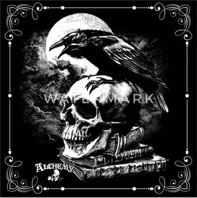 Produktbild von Spreadshirt Alchemy England Rabe Poe's Raven Totenkopf Poster 60x60 cm, One size, Weiß