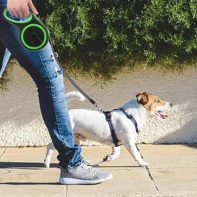 Produktbild von Famanu Hundeleine - lange einziehbare Hundeleine, 8 Meter