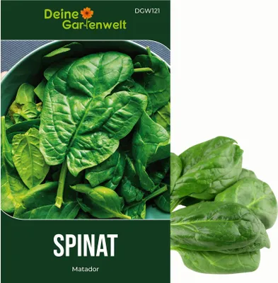 Produktbild von Spinat Matador Samen - Spinacia oleracea - Spinatsamen - Gemüsesamen - Saatgut für 250 Pflanzen