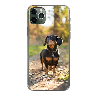 Produktbild von MuchoWow® Handyhülle Schutzhülle Hülle für iPhone 11 Pro Max Ein schöner Dackel im Wald Silikon Softcase Handy Hülle - Schutz