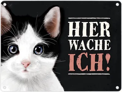 Produktbild von Metallschild mit Katze Motiv und Spruch: Hier wache ich! Metallschild