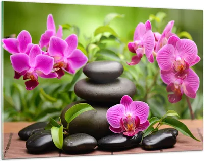 Produktbild von Bilder auf glas - Blumen Steine Bambus Dekoration - 120x80cm - Glasbilder - Wandbilder - Kunstdruck - zum Aufhängen bereit - Wanddekoration aus Glas - Glas Bilder - Wandbild auf Glas - GAA120x80-2687