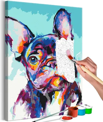 Immagine prodotto di Pittura con i numeri animali cane bulldog colorati 40x50 cm set di pittura con cornice in legno su tela per adulti bambini dipinti a mano kit fai da te