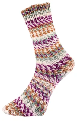 Produktbild von Pro Lana Fjord Socks Multicolor 100g Farbe 481