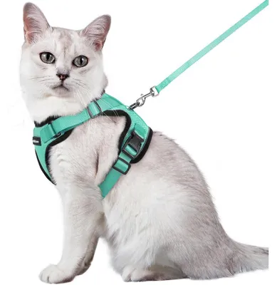 Produktbild von Katzengeschirr mit Leine, ausbruchsicher, verstellbar, atmungsaktiv, Grün, Größe M