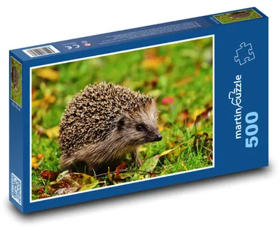 Produktbild von Puzzle 500 Kleiner Igel im Gras - martinpuzzle
