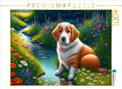 Produktbild von CALVENDO Puzzle Knuffiger Hund | 1000 Teile Lege-Größe 64x48cm Foto-Puzzle für glückliche Stunden